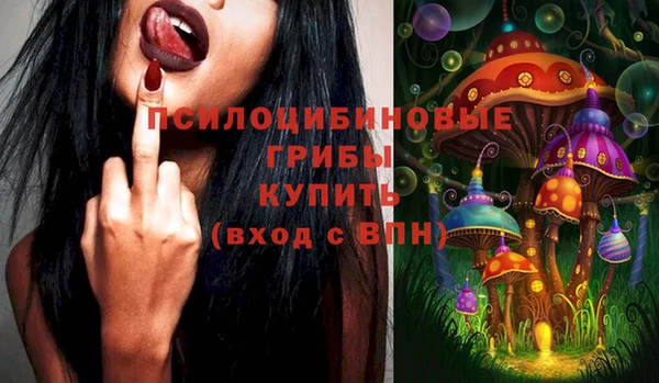 бошки Алзамай