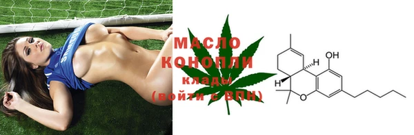 индика Мегион