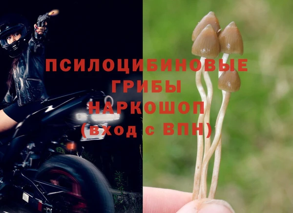 бошки Алзамай