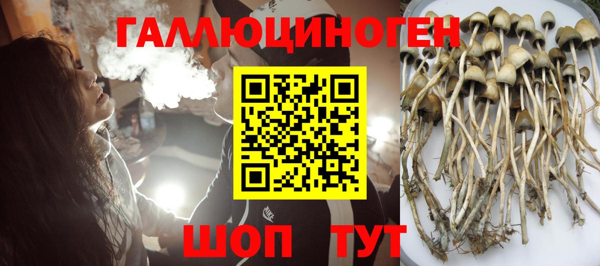 Псилоцибиновые грибы прущие грибы Чапаевск
