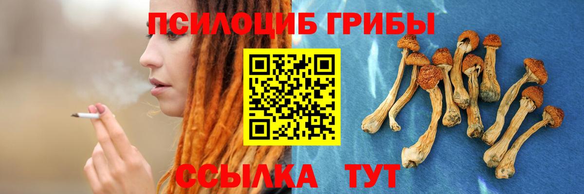 Чапаевск  Псилоцибиновые грибы мухоморы  хочу   Вход с VPN 